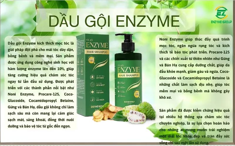 DẦU GỘI ENZYME thumbnail 3
